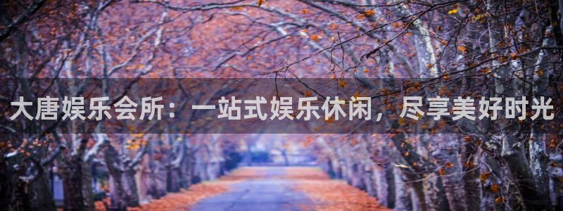 运达娱乐pg