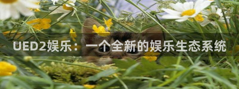 运达娱乐平台下载入口