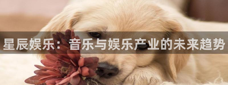 运达娱乐,com