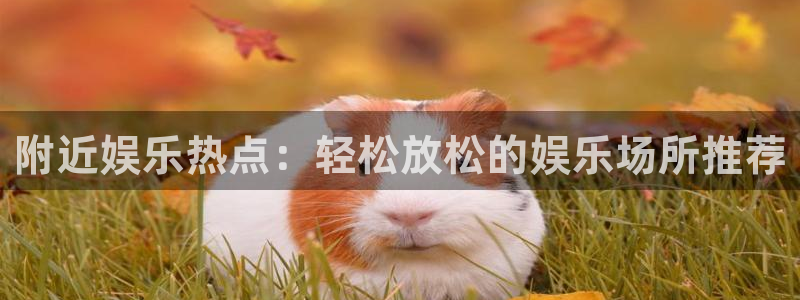 运达娱乐ccm麻将胡了