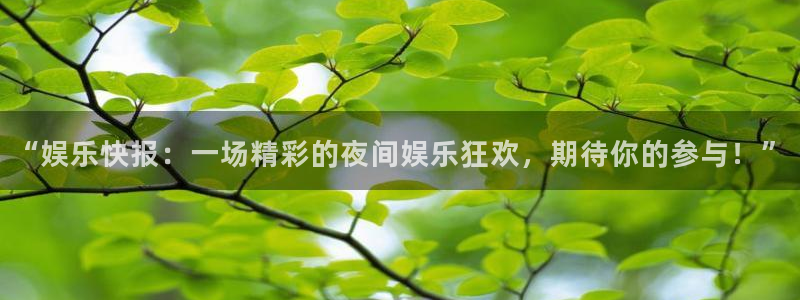 运达娱乐ccm麻将胡了