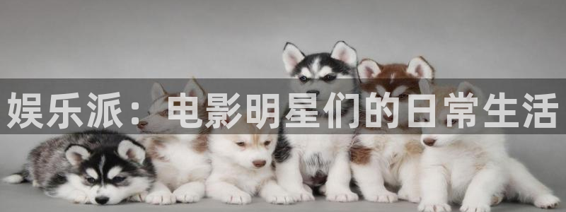壹号app下载官方网站