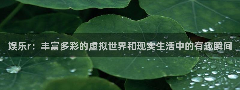 壹号官方app下载安装
