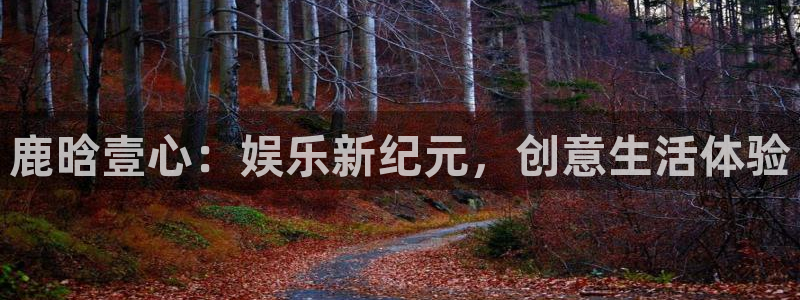 运达娱乐网站平台登录