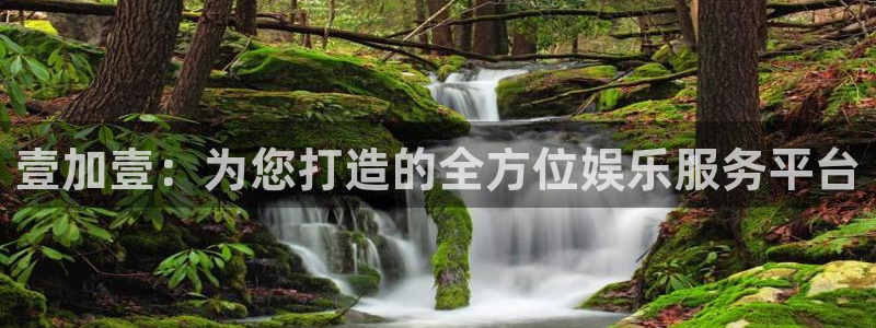 壹号平台注册链接官网下载