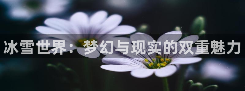 运达娱乐手机版下载