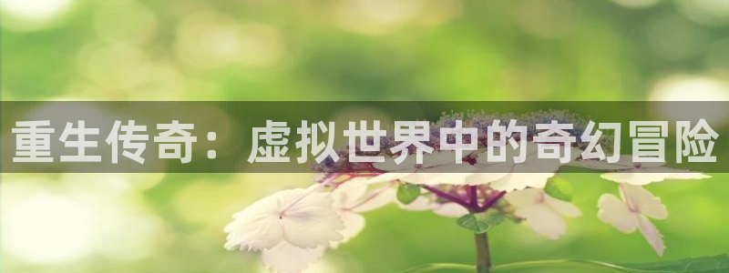 运达娱乐app下载安装