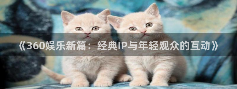 运达娱乐网站登录流程