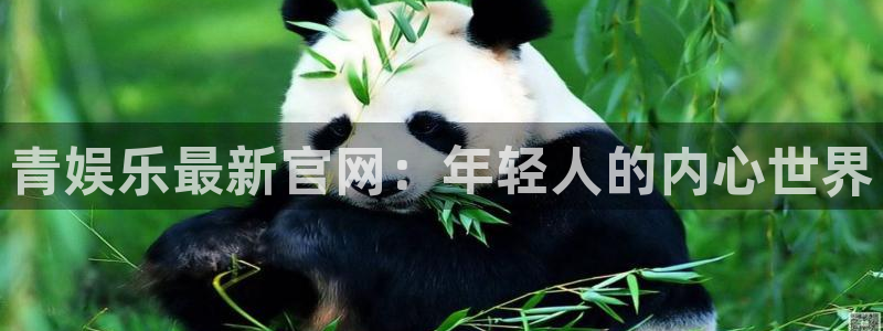运达娱乐ccmpc麻将胡了