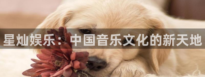 运达娱乐平台管网入口：星灿娱乐：中国音乐文化的新天地