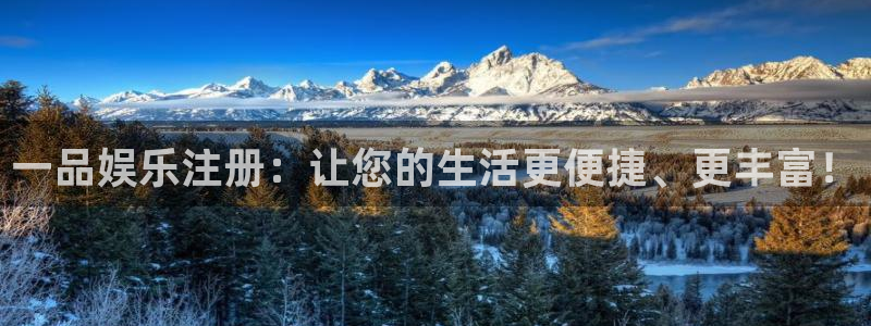 运达娱乐怎么下载：一品娱乐注册：让您的生活更便捷、更丰富！