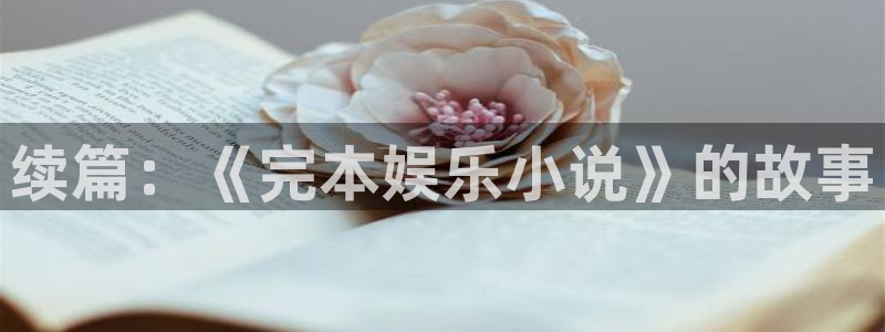 运达娱乐平台链接：续篇：《完本娱乐小说》的故事