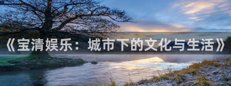壹号大舞台入口：《宝清娱乐：城市下的文化与生活》