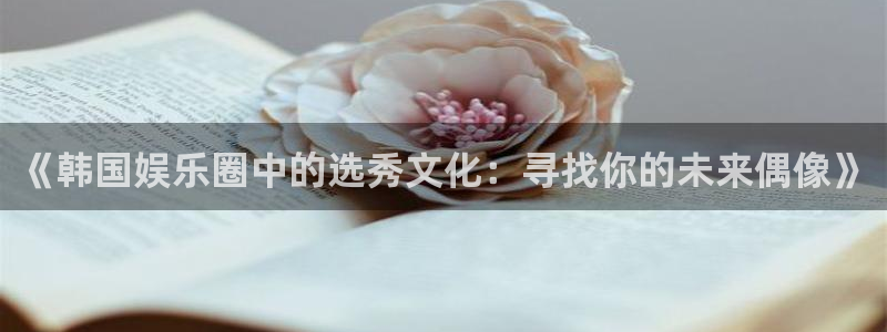 运达娱乐平台官方入口下载