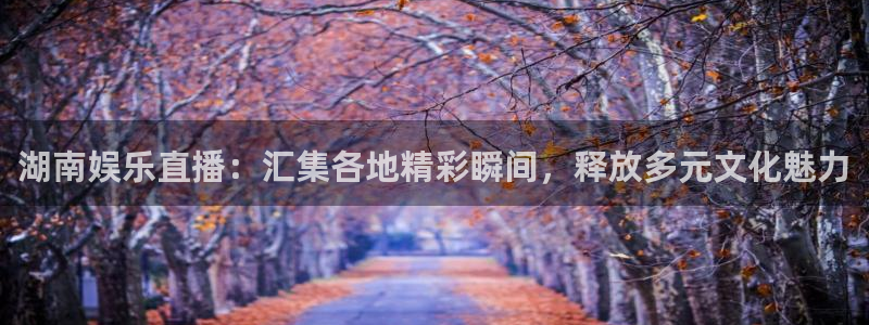 运达娱乐下载入口