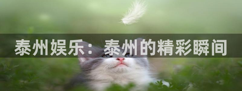 壹号大舞台28国际大舞台