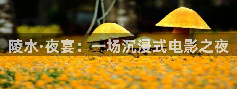 运达娱乐的平台