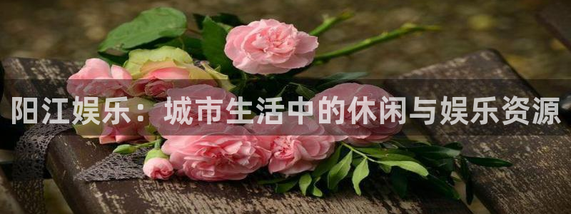 壹号大舞台娱乐app下载安装