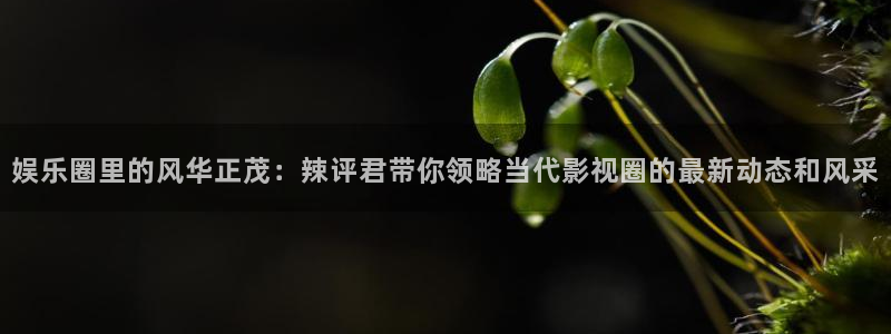 运达娱乐网站