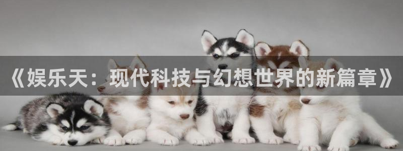 壹号注册入口app下载