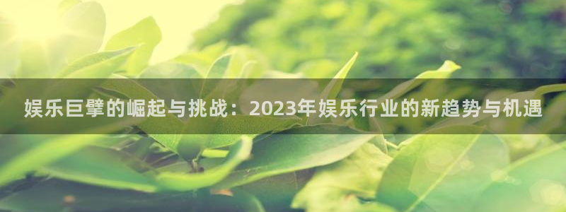 运达娱乐电子游戏网页版