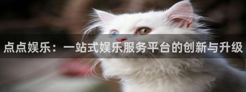 壹号大舞台28国际大舞台