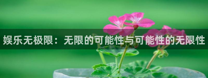 运达娱乐能退款吗：娱乐无极限：无限的可能性与可能性的无限性